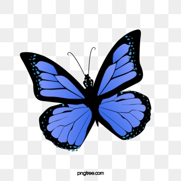 360x360 Butterfly Png, Vector, And Clipart With Transparent