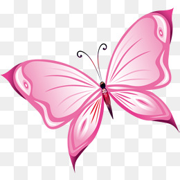 260x260 Butterfly Png Pink Free Butterfly Pink Transparent Images