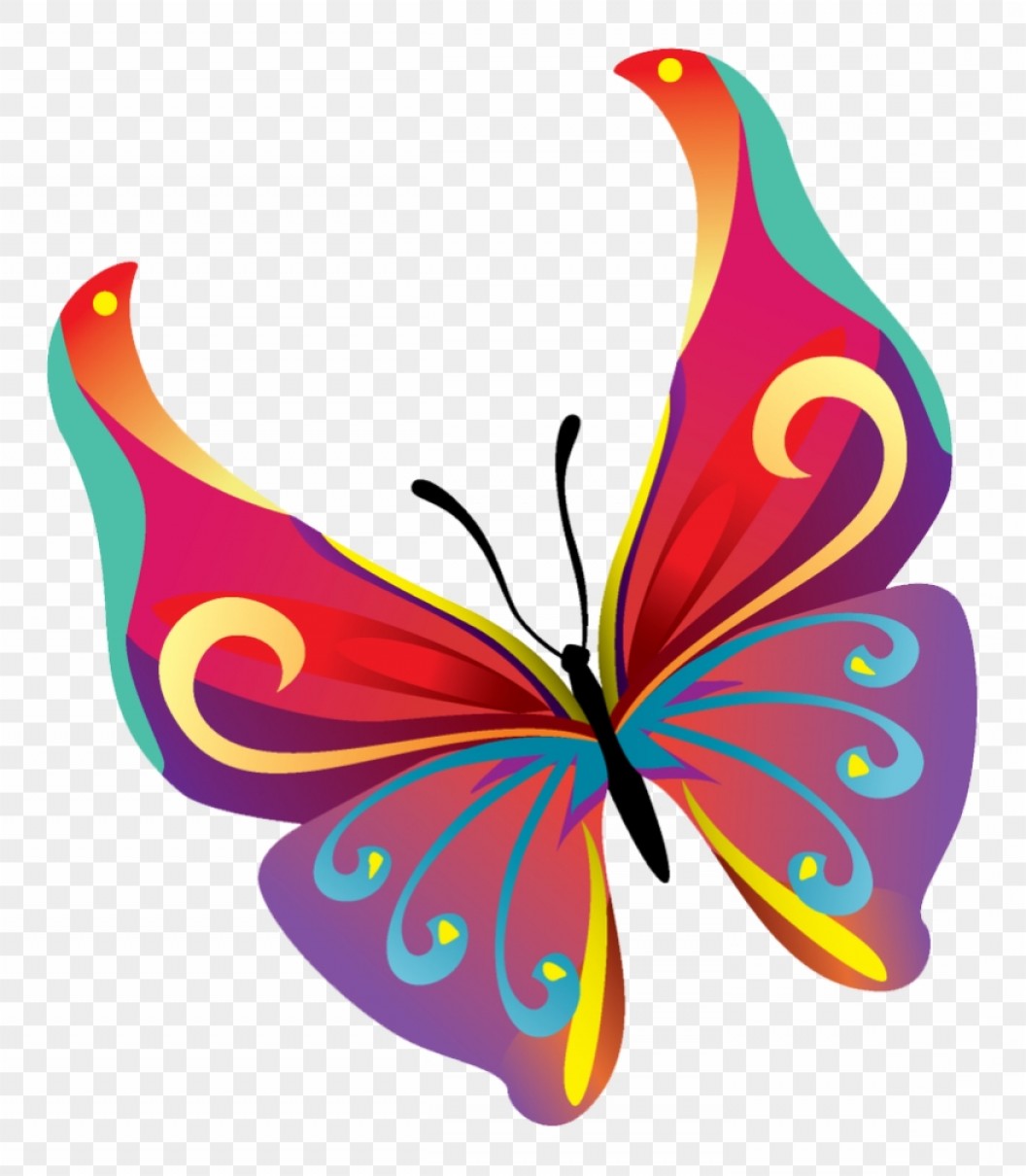 1056x1210 Butterfly Vector Png Images