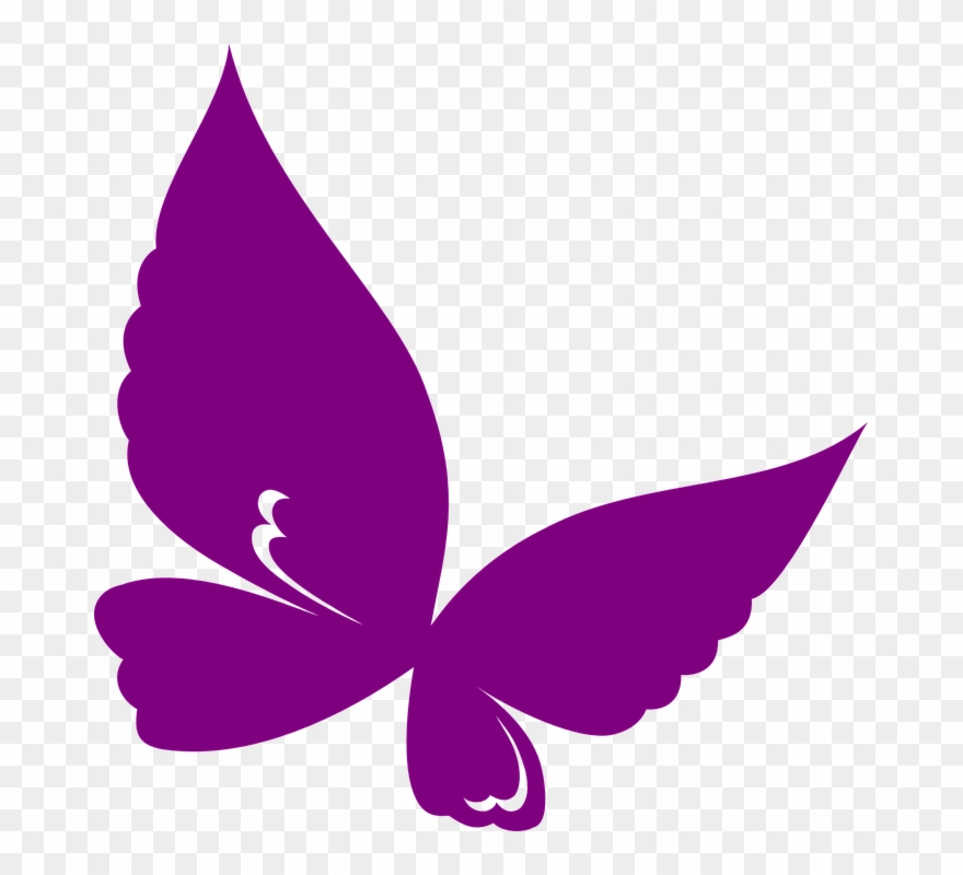 880x800 Butterfly Vector Png Clipart Clip Art