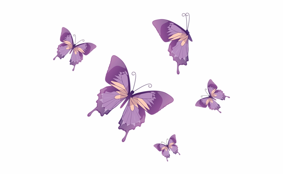 920x568 Butterflies Png Clipart