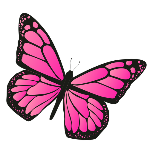 512x512 Detailed Pink Butterfly Vector