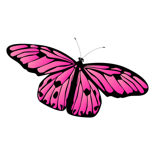 512x512 Detailed Pink Butterfly Vector Butterfly