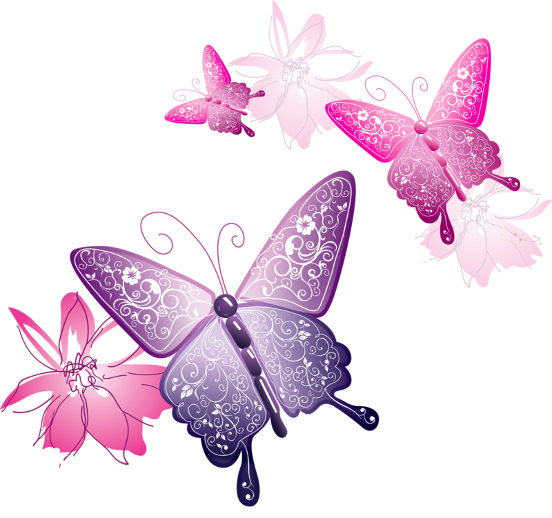 800x751 Download Free Png Vector Butterfly Png