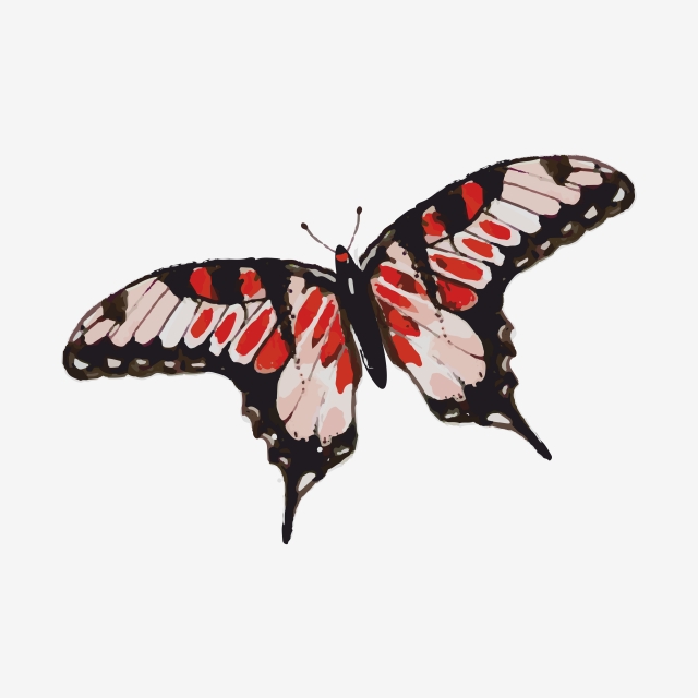 640x640 Flying Butterfly Png, Butterfly, Butterfly Png, Flying Butterfly