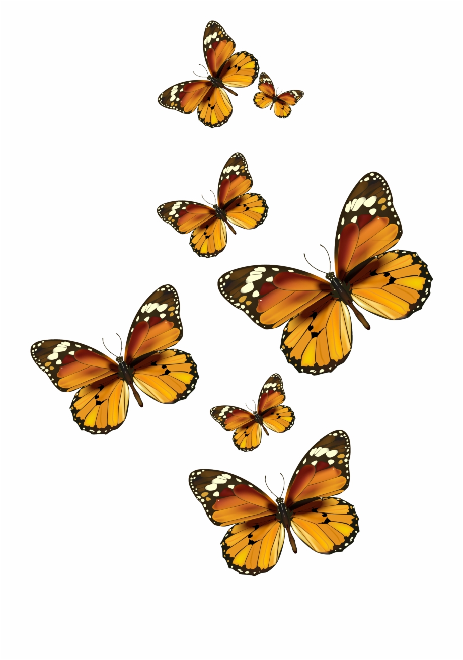 920x1311 Butterflies Vector Png Clipart Gallery