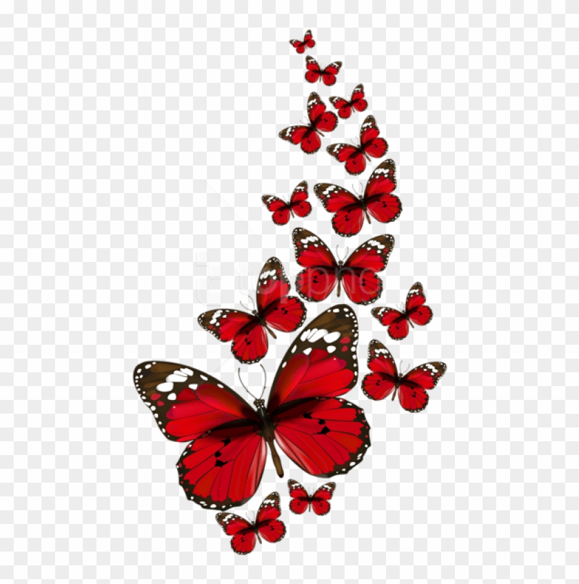 840x847 Free Png Download Red Butterflies Vector Clipart Png