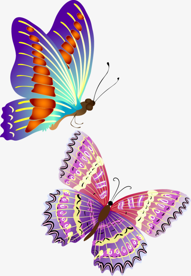 650x939 Fun Colorful Butterfly Vector Beautiful