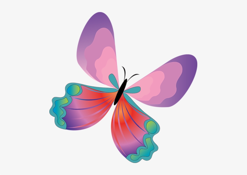 820x580 Purple Pink Butterfly