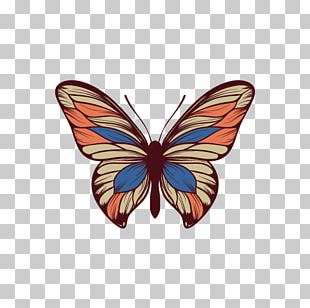 310x308 Vector Colorful Butterfly Png Images, Vector Colorful Butterfly