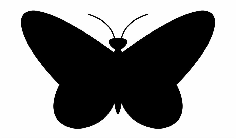 920x543 Butterflies Vector