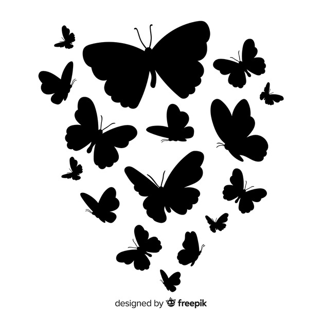 Butterfly Vectors, Photos And Free Download 626x626 Butterfly Vectors, Photos And Free Download