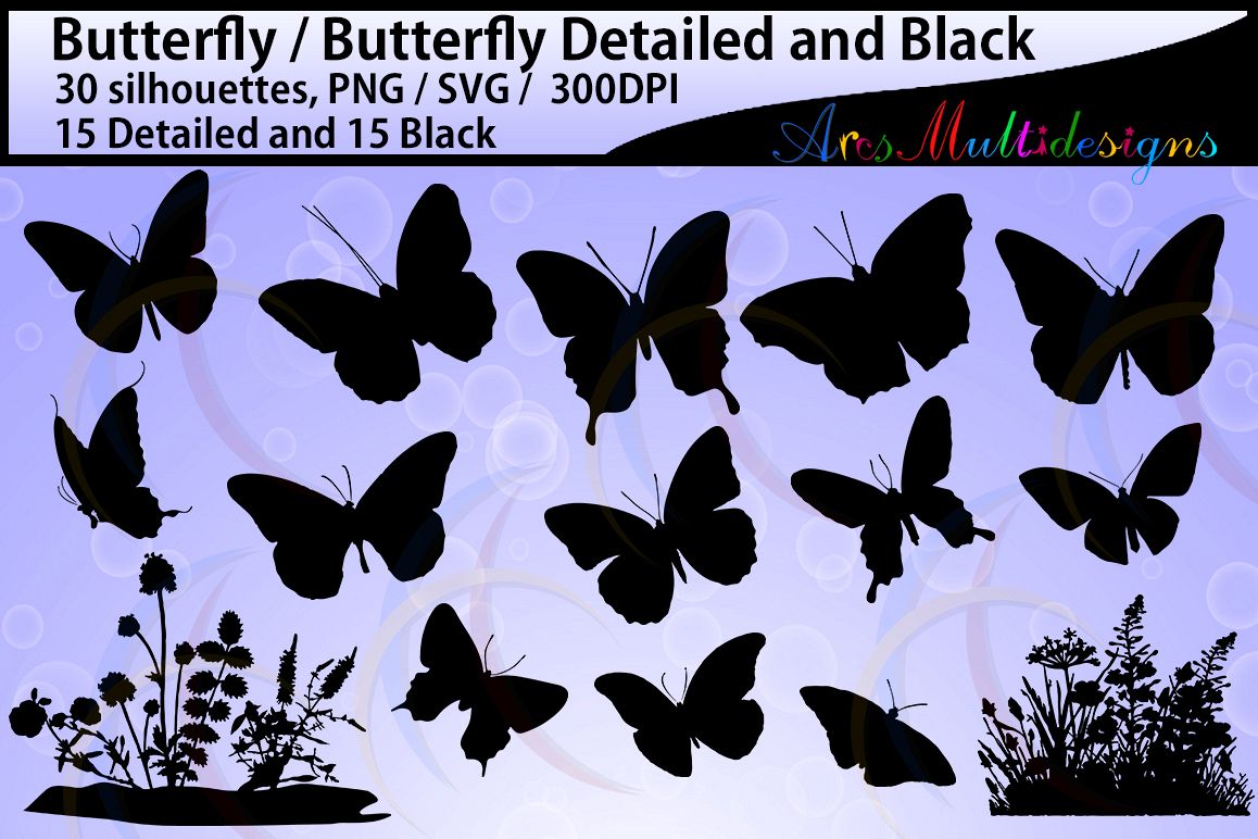 Butterfly Silhouette Insects High Quality Plants 1158x772 Butterfly Silhouette Insects High Quality Plants