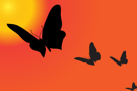 Butterfly Silhouette Vector Free Vector Download 476x318 Butterfly Silhouette Vector Free Vector Download