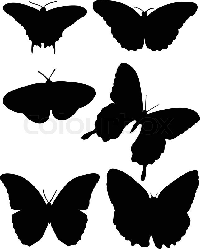 Collection Of Butterfly Silhouette 643x800 Collection Of Butterfly Silhouette