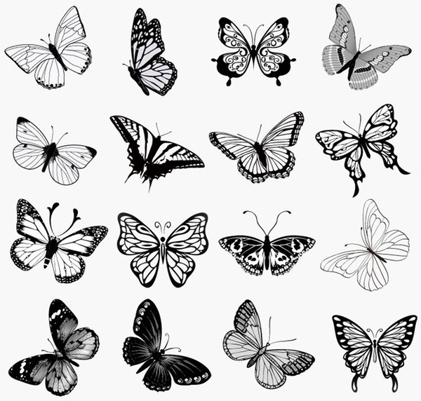 Set Of Butterflies Silhouettes Vector Illustration Free Vector 600x572 Set Of Butterflies Silhouettes Vector Illustration Free Vector