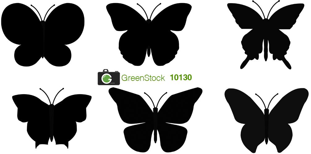 Butterfly Silhouette Vector Art 1006x497 Butterfly Silhouette Vector Art