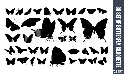 Set Of Beautiful Butterfly Silhouette Vector 500x300 Set Of Beautiful Butterfly Silhouette Vector