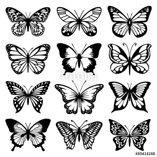 Butterfly Vector Set Stock Image And Royalty Free Vector 500x500 Butterfly Vector Set Stock Image And Royalty Free Vector