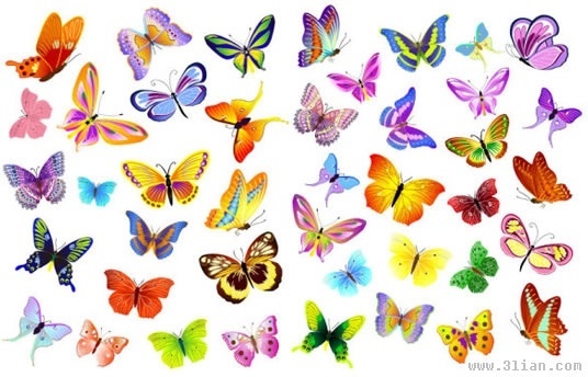 Butterfly Free Vector Download 536x344 Butterfly Free Vector Download
