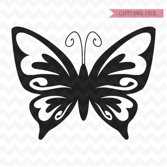 Butterfly Butterfly Vector Beautiful Butterfly Etsy 570x570 Butterfly Butterfly Vector Beautiful Butterfly Etsy