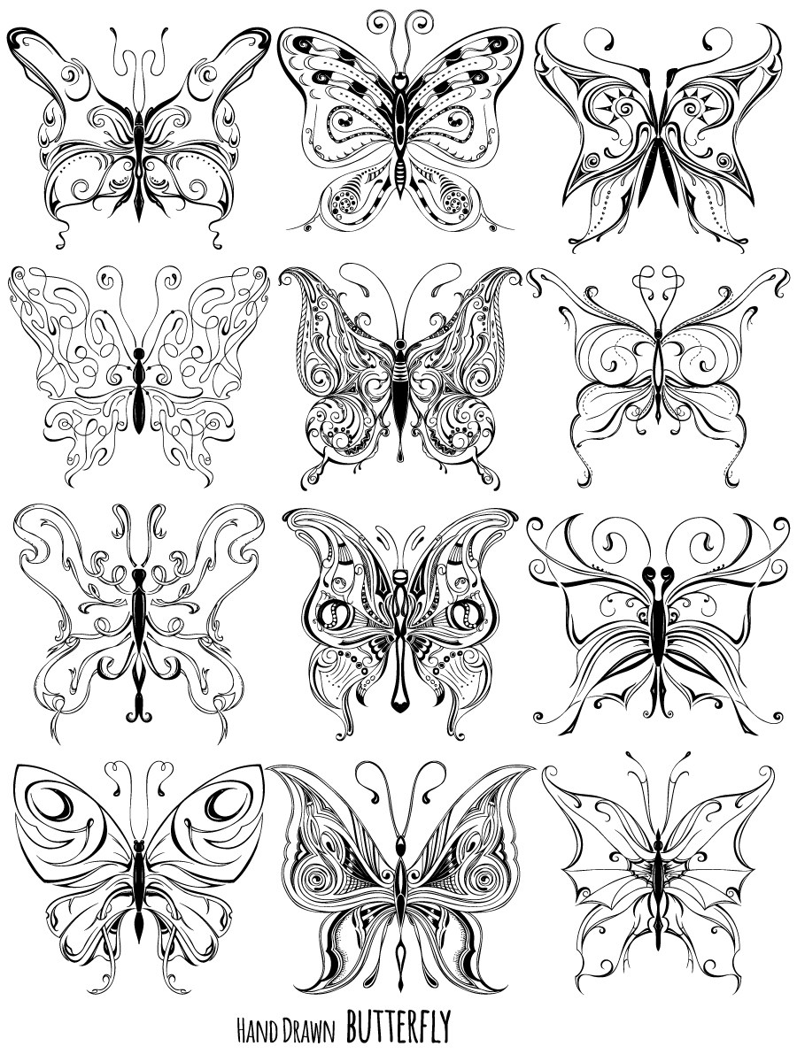 Hand Drawn Butterfly Vector And Photoshop Brush Pack 900x1200 Hand Drawn Butterfly Vector And Photoshop Brush Pack