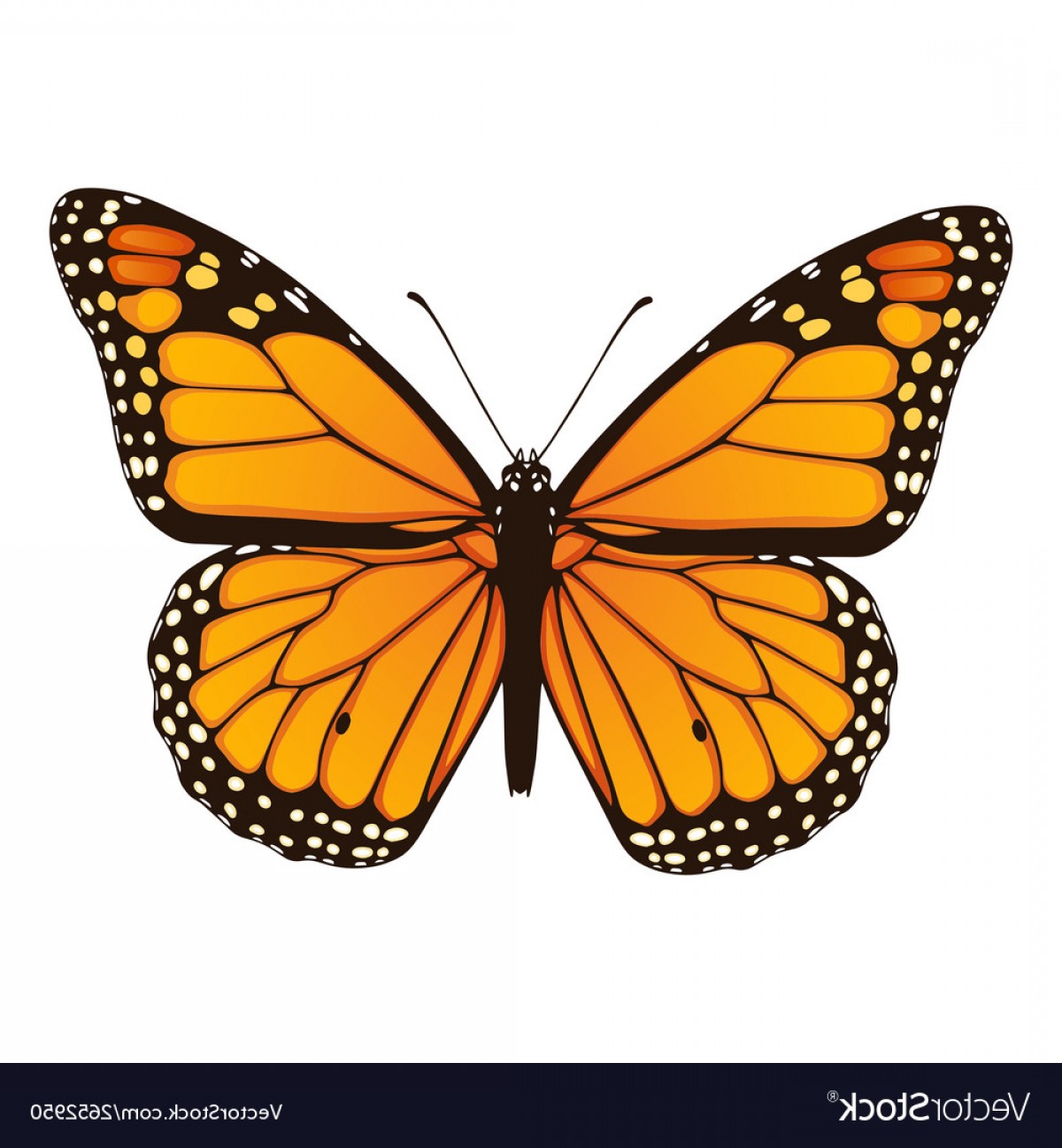 Free Free 81 Blue Monarch Butterfly Svg SVG PNG EPS DXF File