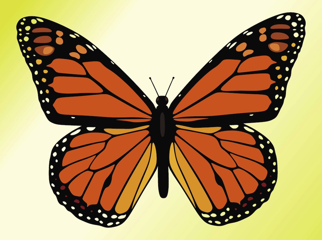 Monarch Butterfly Vector Art Graphics 1024x765 Monarch Butterfly Vector Art Graphics