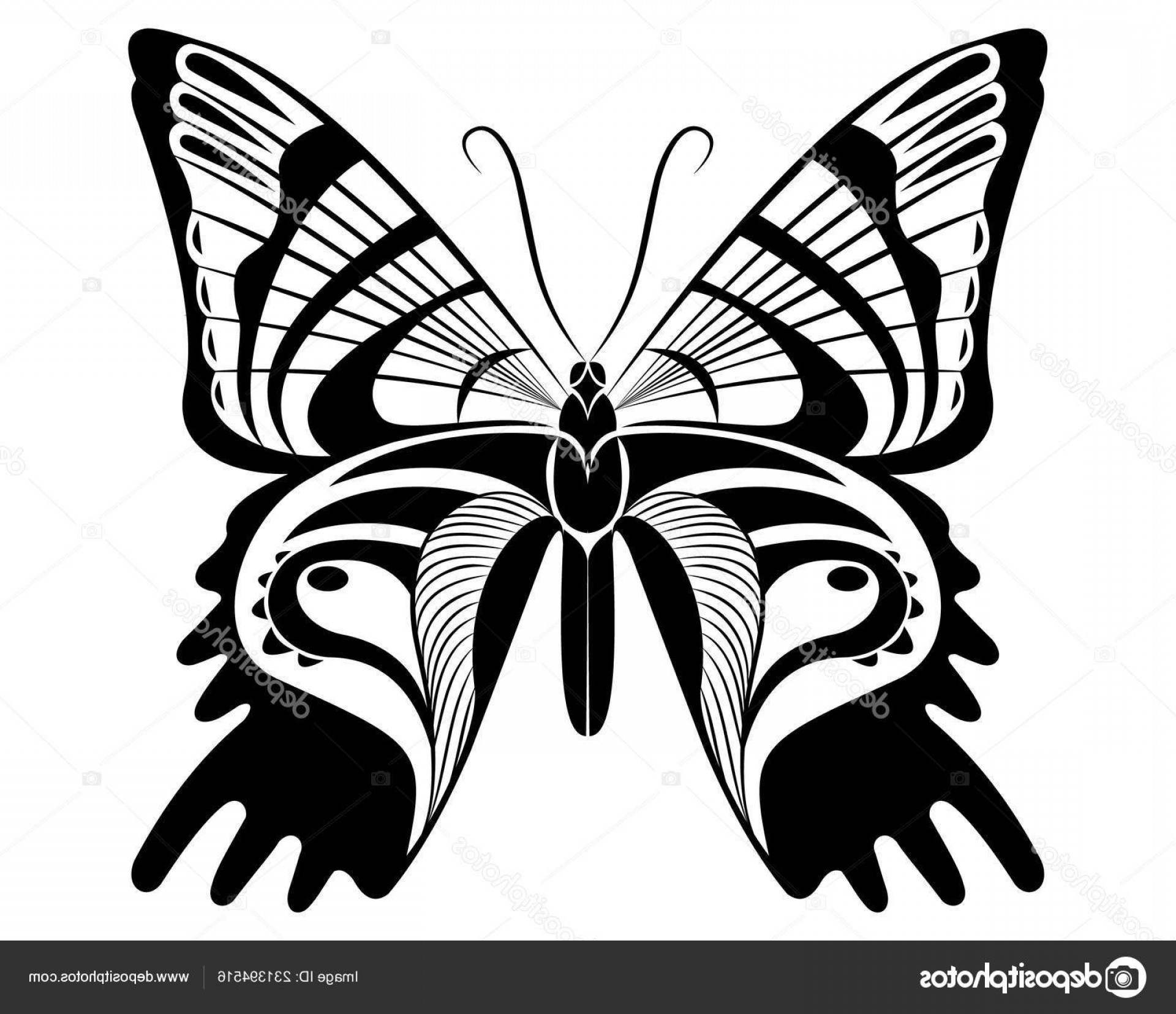 Stock Illustration Urania Ripheus Butterfly Vector Art Cqrecords 1920x1656 Stock Illustration Urania Ripheus Butterfly Vector Art Cqrecords