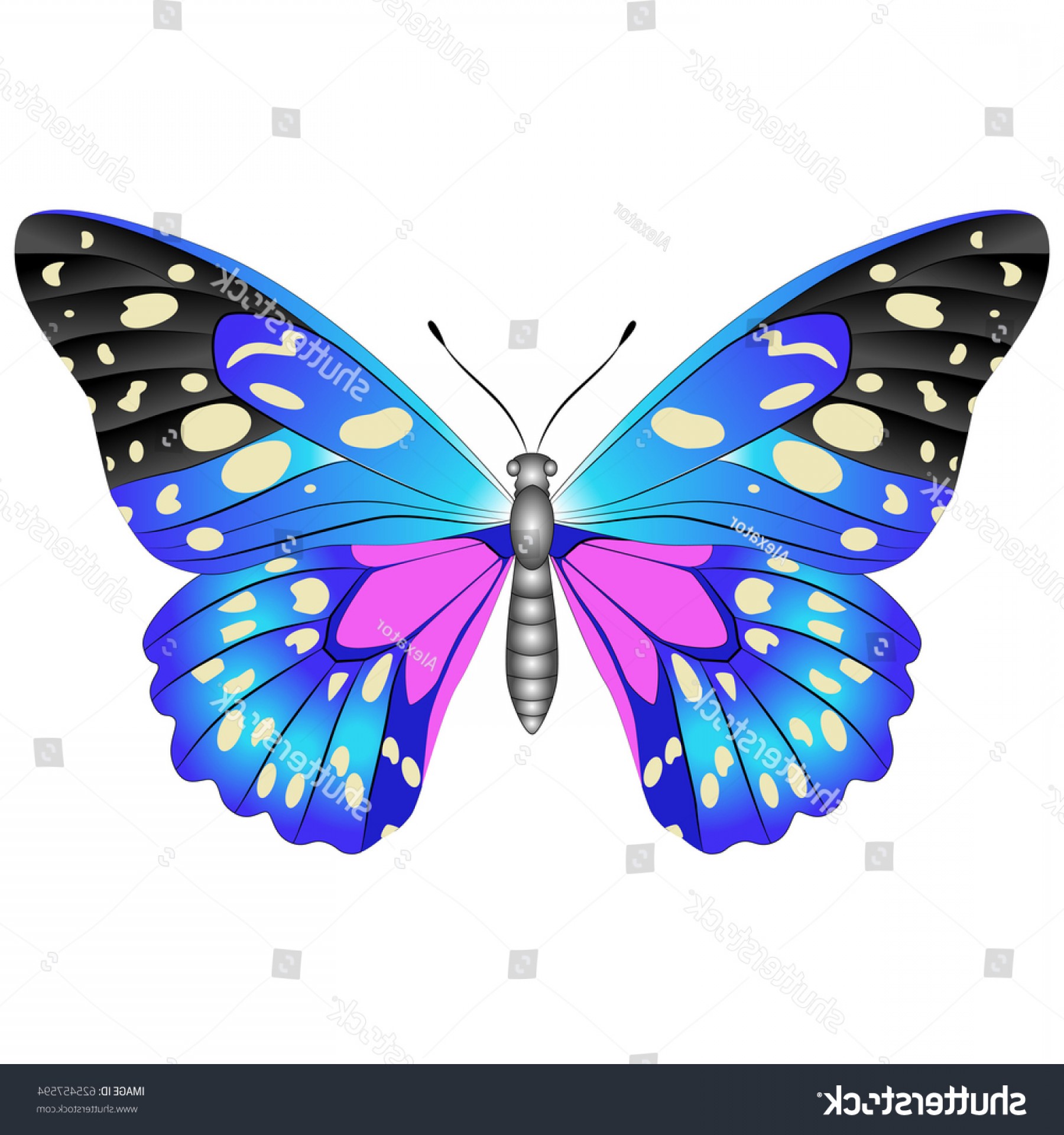 Bright Beautiful Blue Butterfly Vector Illustration Soidergi 1800x1920 Bright Beautiful Blue Butterfly Vector Illustration Soidergi