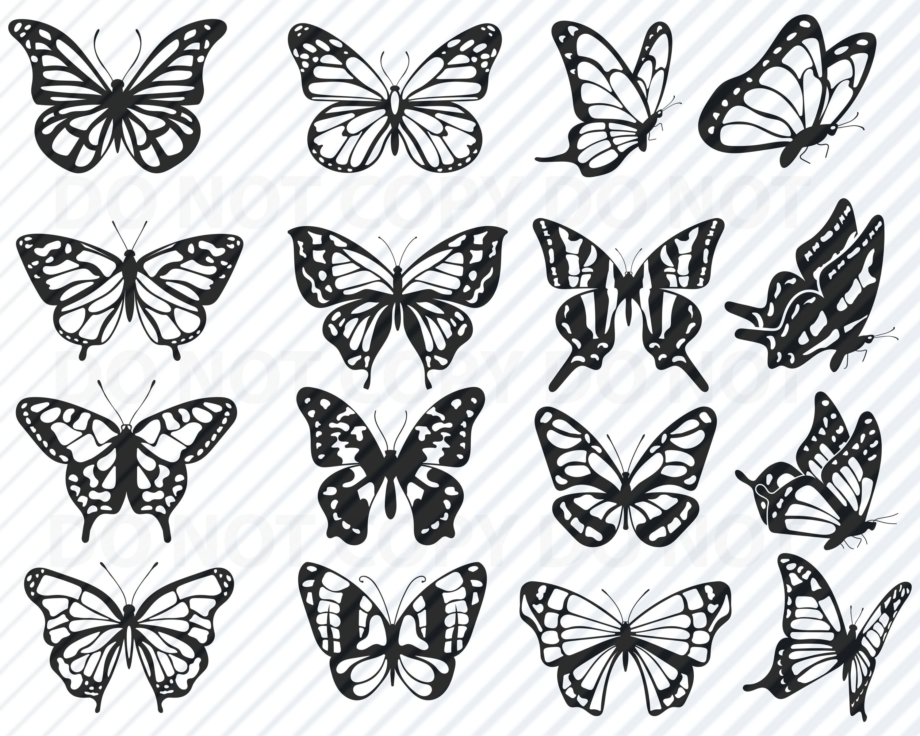Download Free SVG 1,225 Monarch butterfly vector images at Vectorified.com ...
