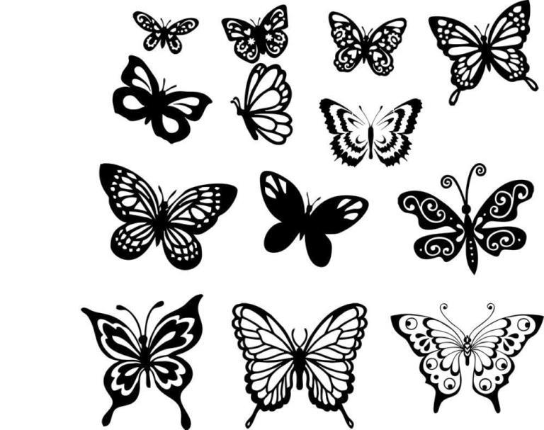 768x607 Butterfly Vector Art Set Graphic Design Vector