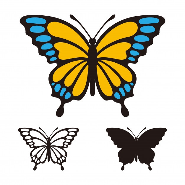 626x626 Butterfly Vector Logo Template Vector Premium Download