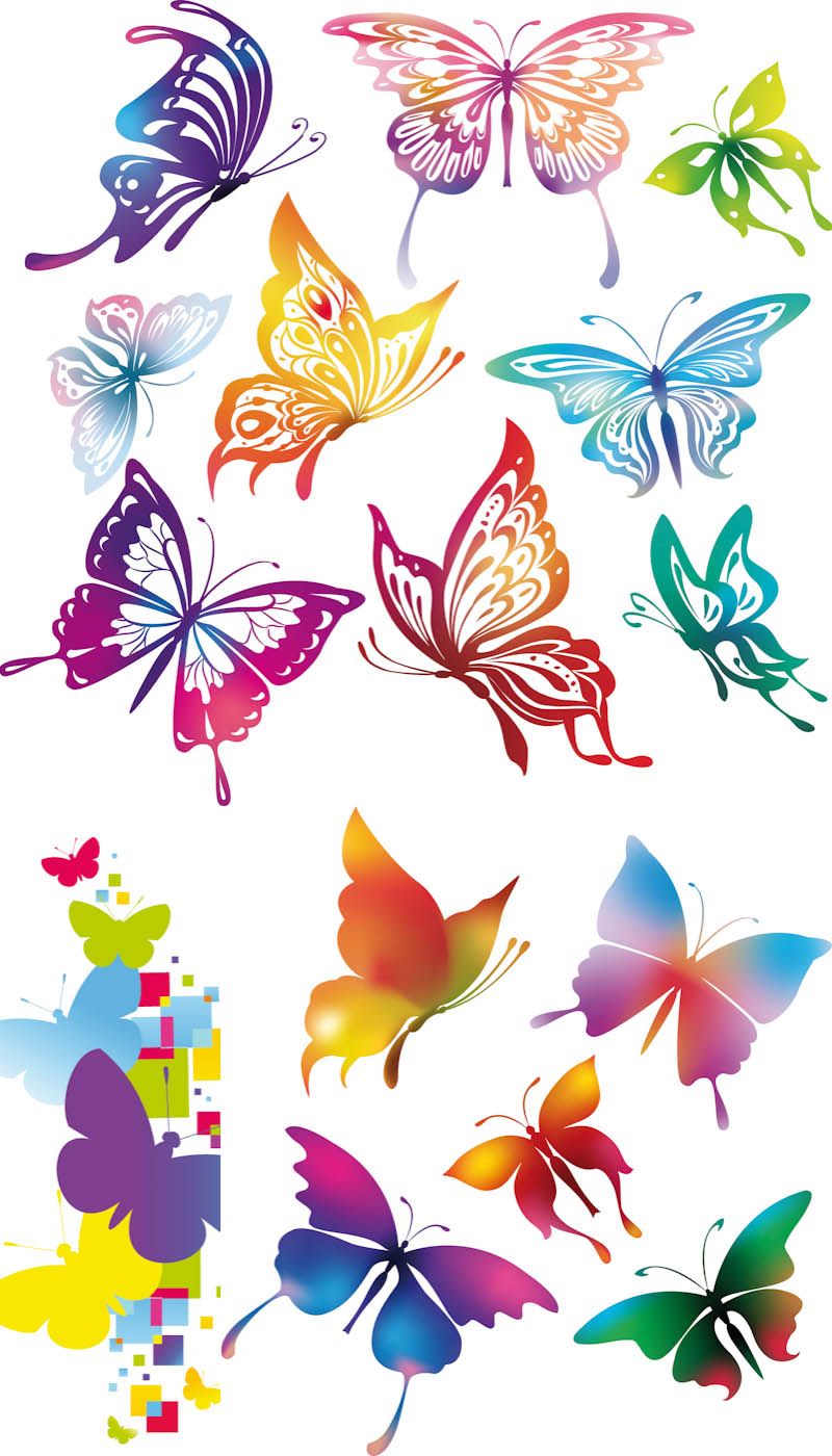 800x1400 Colorful Butterflies Vector Vector Graphics Blog Favorites
