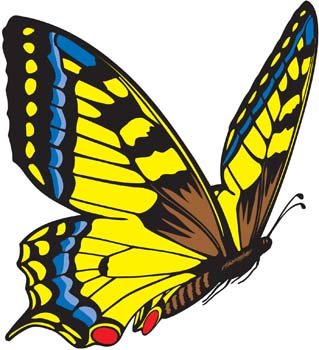 319x350 Free Butterfly Vector Files, Vectors Graphics