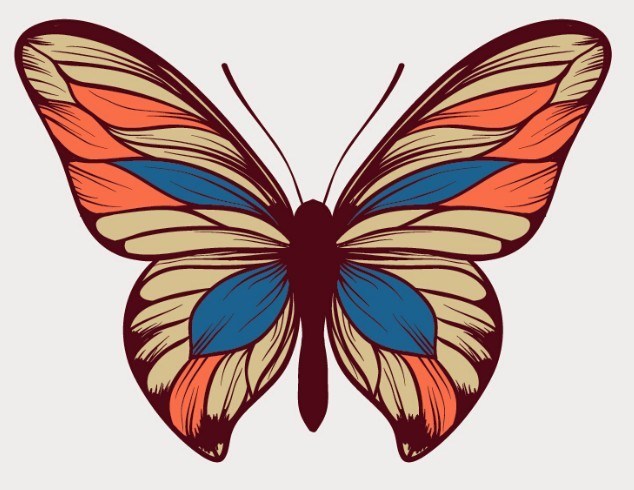 634x490 Free Colorful Butterfly Vector Art