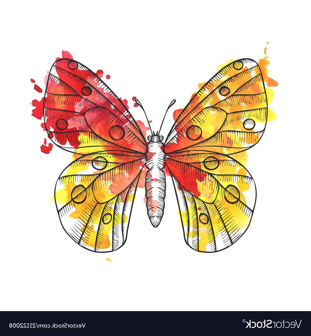 1000x1080 Top Butterfly Vector Graphics Design Free Vector Art, Images