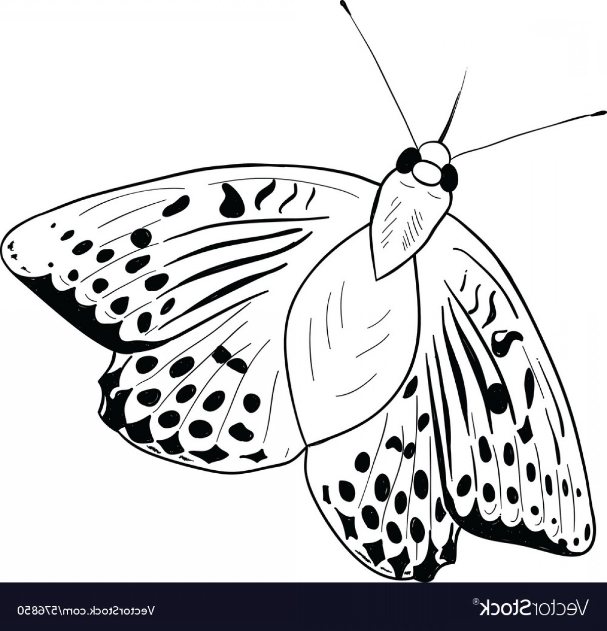 1200x1248 Black Silhouette Of Simple Butterfly Vector Studiogrfx