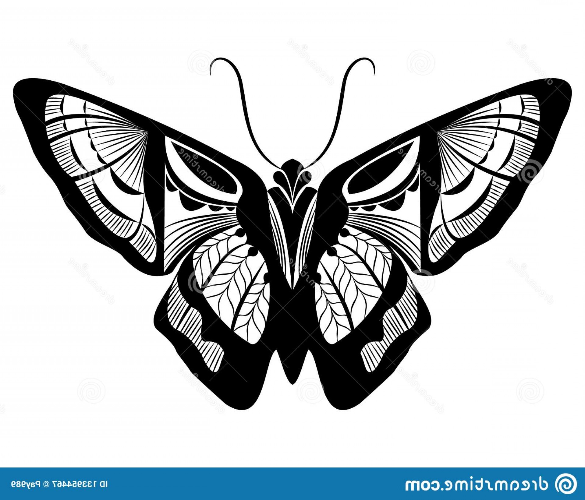 1920x1642 Butterfly Black White Silhouette Design Butterfly Vector Art