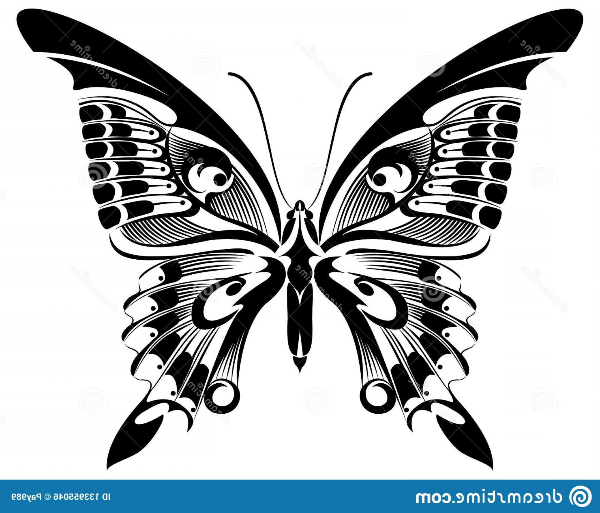 1920x1642 Butterfly Black White Silhouette Design Machaon Butterfly Vector