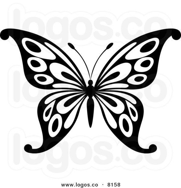 600x620 Butterfly Vectors Black And White Images