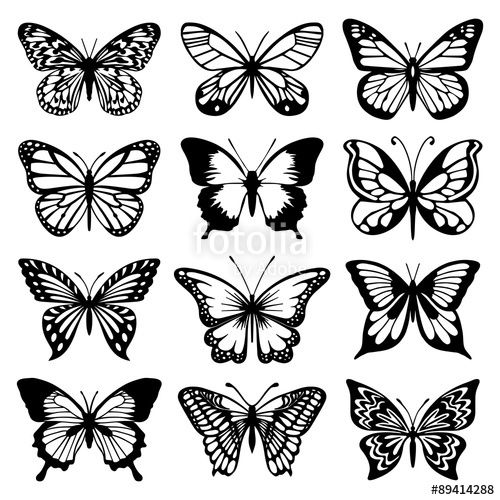 500x500 Download The Royalty Free Vector Butterfly Vector Set Designed