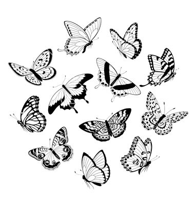 380x400 Flying Black White Butterflies Vector