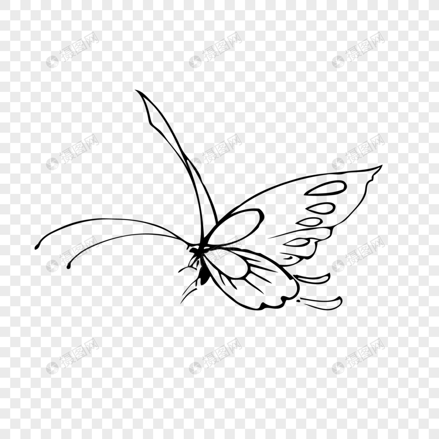 860x860 Simple Hand Drawn Black And White Butterfly Vector Elements Png