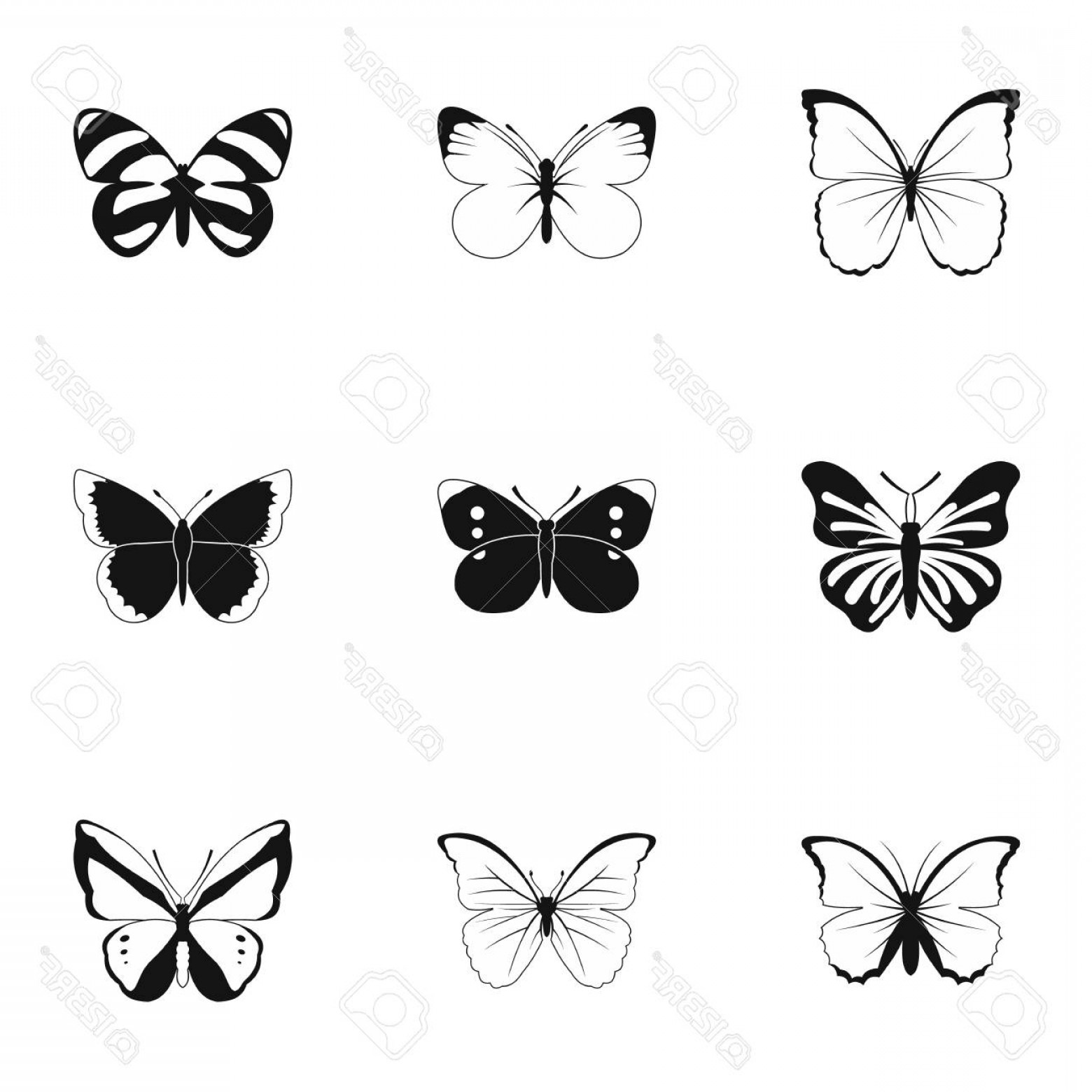 1560x1560 Simpleb Butterfly Vector Art Studiogrfx