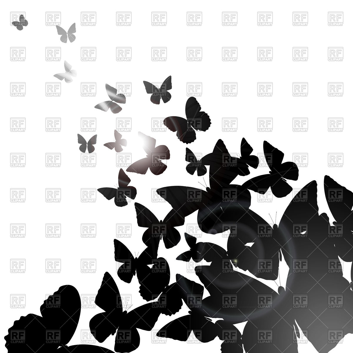 1200x1200 Summer Background With Black Butterflies Vector Image