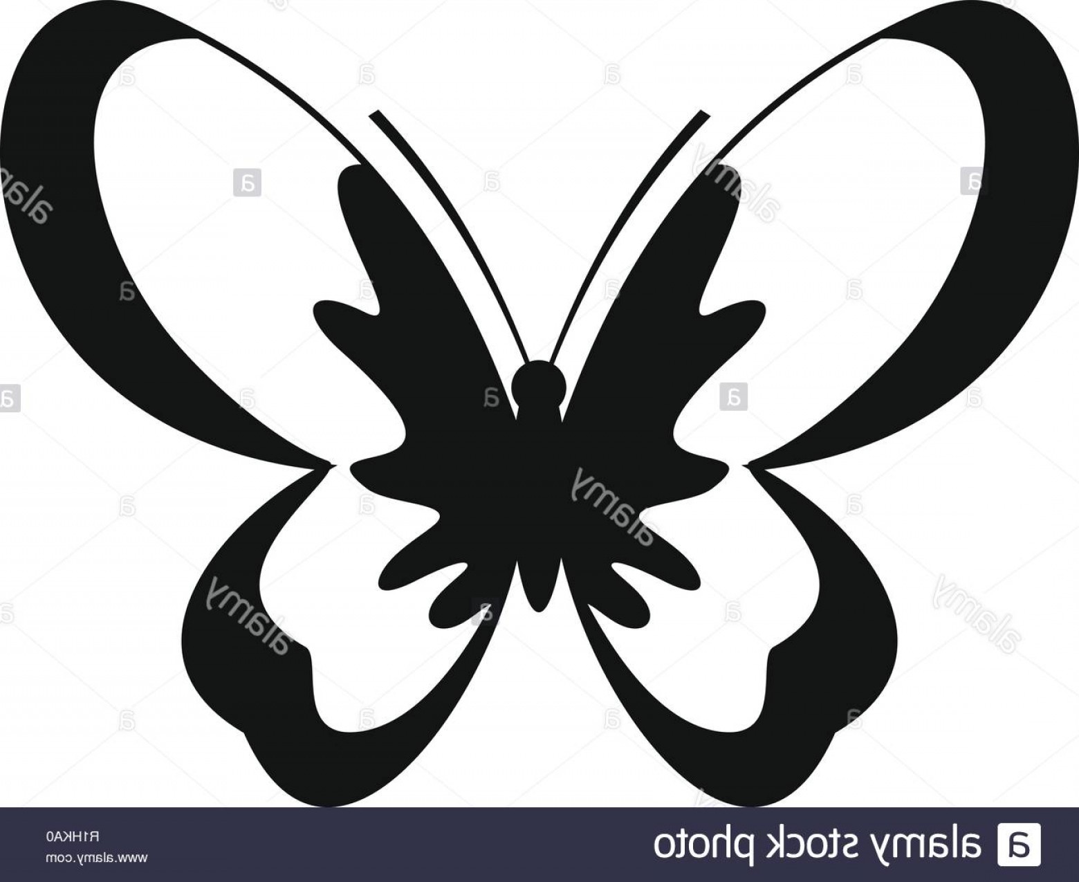 1560x1275 Unknown Butterfly Icon Simple Illustration Of Unknown Butterfly