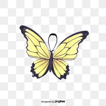 360x360 Butterfly Vector, Graphic Resources For Free Download