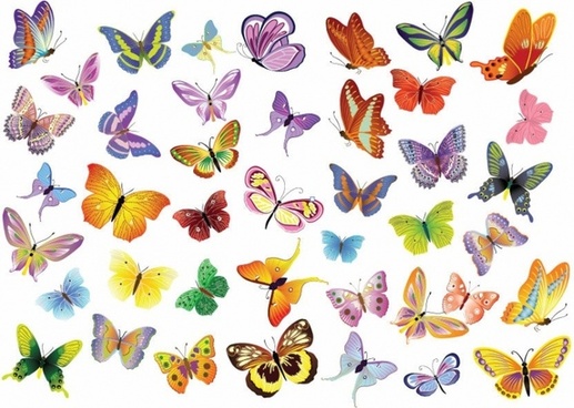517x368 Butterfly Free Vector Download