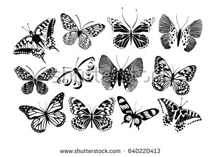 450x320 Huge Collection Of 'free Butterfly Silhouette' Download More Than